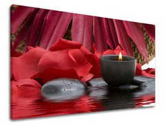 Τέχνη τοίχου FENG SHUI FS040E11