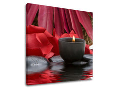 Τέχνη τοίχου FENG SHUI FS040E12