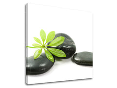 Τέχνη τοίχου FENG SHUI FS041E12