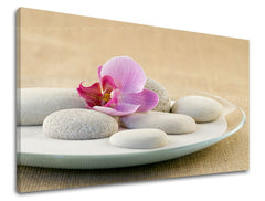 Τέχνη τοίχου FENG SHUI FS042E11