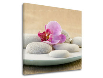 Τέχνη τοίχου FENG SHUI FS042E12