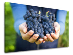 Ζωγραφική τοίχου ΚΟΥΖΙΝΑ KU014E11