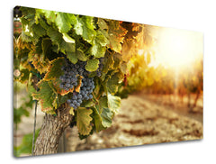 Ζωγραφική τοίχου ΚΟΥΖΙΝΑ KU016E11