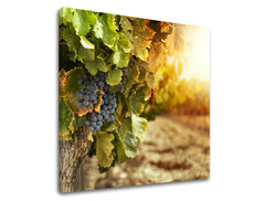 Ζωγραφική τοίχου ΚΟΥΖΙΝΑ KU016E12