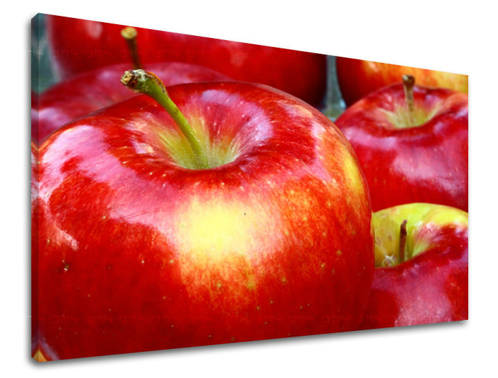 Ζωγραφική τοίχου ΚΟΥΖΙΝΑ KU046E11