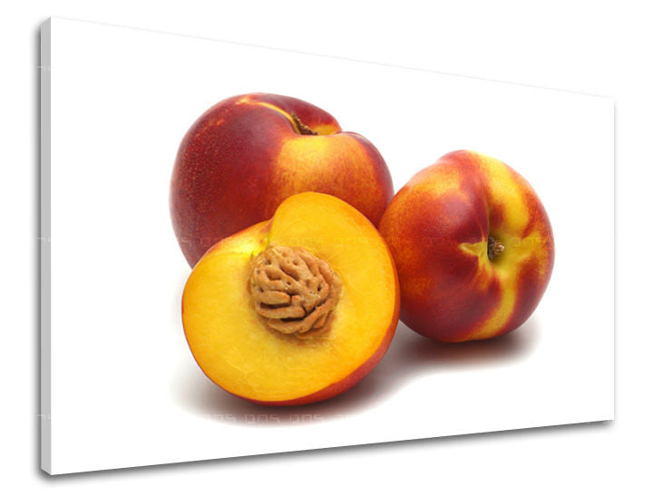 Ζωγραφική τοίχου ΚΟΥΖΙΝΑ KU047E11