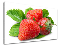 Ζωγραφική τοίχου ΚΟΥΖΙΝΑ KU051E11