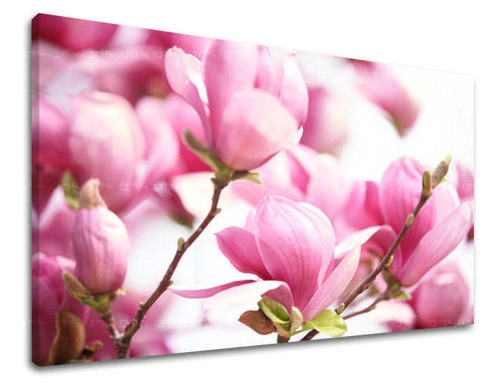 Ζωγραφική τοίχου FLOWERS KV002E11