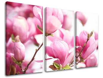 Τοιχογραφία 3 τμημάτων FLOWERS KV002E30