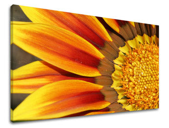Ζωγραφική τοίχου FLOWERS KV005E11