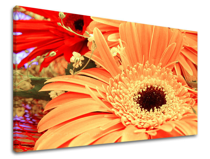 Ζωγραφική τοίχου FLOWERS KV006E11