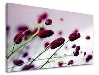 Ζωγραφική τοίχου FLOWERS KV007E11