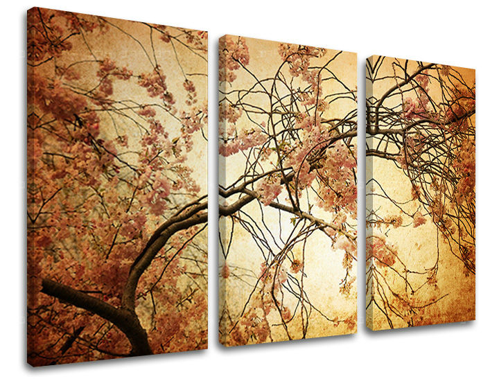 Τοιχογραφία 3 τμημάτων FLOWERS KV009E30