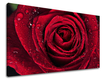 Ζωγραφική τοίχου FLOWERS KV012E11