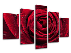 Ζωγραφική τοίχου 5 τμημάτων FLOWERS KV012E50