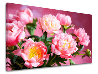 Ζωγραφική τοίχου ΛΟΥΛΟΥΔΙΑ KV013E11