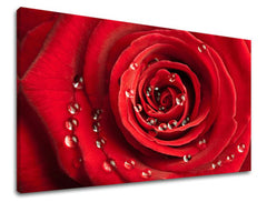 Ζωγραφική τοίχου ΛΟΥΛΟΎΔΙΑ ΑΠΟ ΤΑ ΡΟΔΑ KV014E11