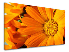 Ζωγραφική τοίχου FLOWERS KV015E11