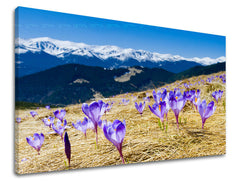 Ζωγραφική τοίχου ΛΟΥΛΟΥΔΙΑ KV017E11