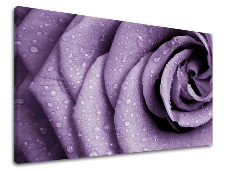 Ζωγραφική τοίχου ΛΟΥΛΟΎΔΙΑ ΑΠΟ ΤΑ ΡΟΔΑ