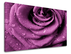 Ζωγραφική τοίχου FLOWERS OF ROSES KV019E11