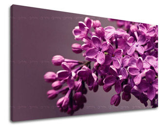 Ζωγραφική τοίχου FLOWERS KV020E11