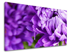 Ζωγραφική τοίχου FLOWERS KV022E11