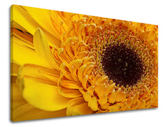 Ζωγραφική τοίχου FLOWERS KV023E11