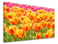 Ζωγραφική τοίχου ΛΟΥΛΟΥΔΙΑ TULIPÁNY KV025E11