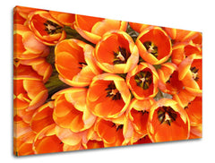 Ζωγραφική τοίχου ΛΟΥΛΟΥΔΙΑ TULIPÁNY KV026E11