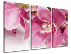 Τοιχογραφία 3 τμημάτων FLOWERS KV034E30