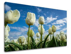 Ζωγραφική τοίχου ΛΟΥΛΟΥΔΙΑ TULIPANS KV040E11
