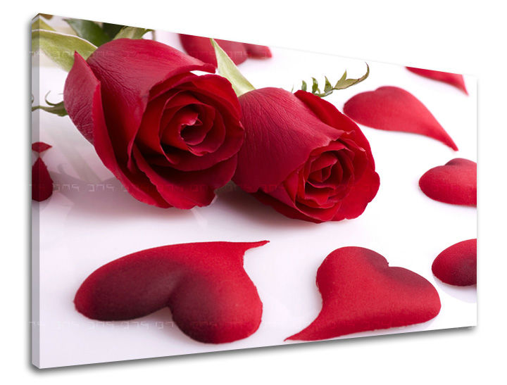 Ζωγραφική τοίχου FLOWERS OF ROSES KV043E11