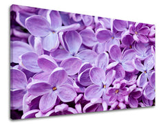 Ζωγραφική τοίχου FLOWERS KV046E11