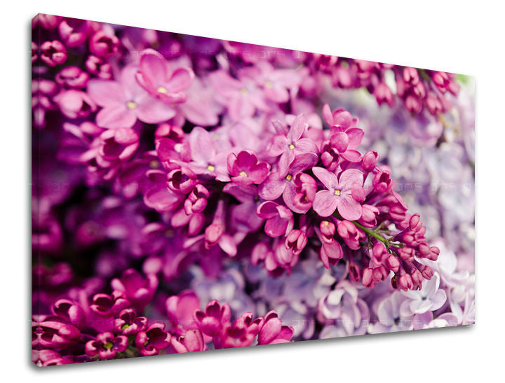Ζωγραφική τοίχου FLOWERS KV048E11