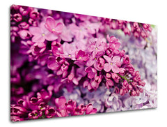 Ζωγραφική τοίχου FLOWERS KV048E11