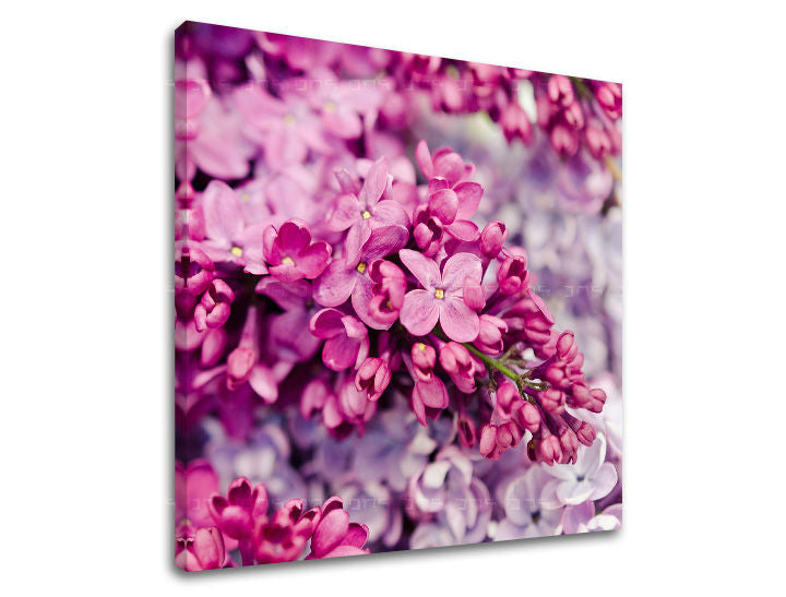 Ζωγραφική τοίχου FLOWERS KV048E12