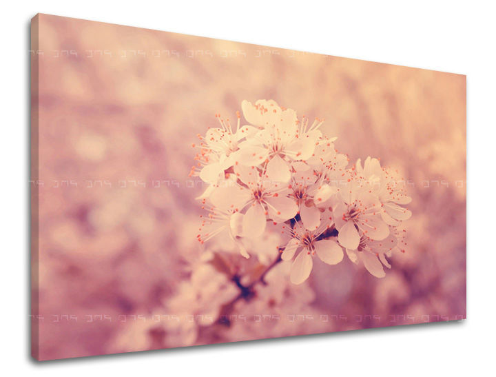 Ζωγραφική τοίχου FLOWERS KV049E11