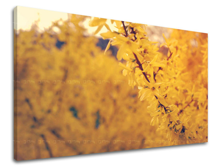 Ζωγραφική τοίχου FLOWERS KV050E11