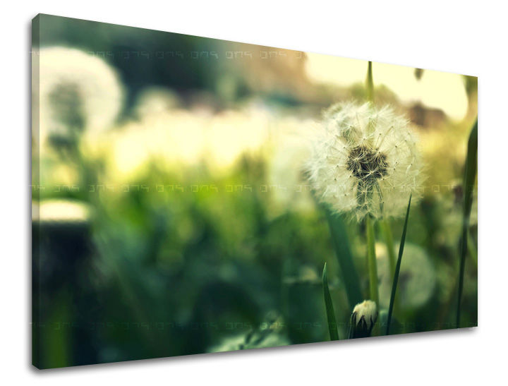 Ζωγραφική τοίχου FLOWERS KV051E11