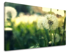 Ζωγραφική τοίχου FLOWERS KV051E11