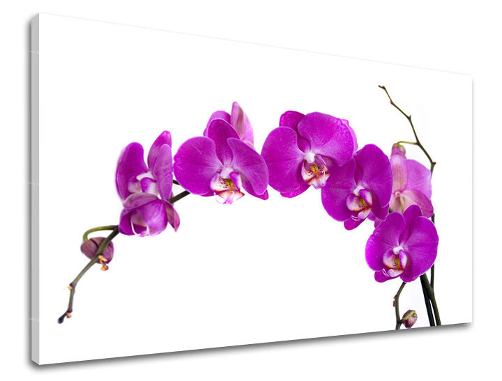 Ζωγραφική τοίχου FLOWERS KV052E11