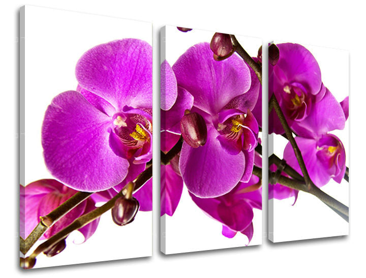 Τοιχογραφία 3 τμημάτων FLOWERS KV053E30