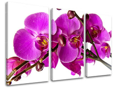 Τοιχογραφία 3 τμημάτων FLOWERS KV053E30