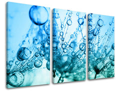 Τοιχογραφία 3 τμημάτων FLOWERS KV060E30