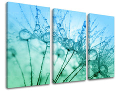 Τοιχογραφία 3 τμημάτων FLOWERS KV061E30