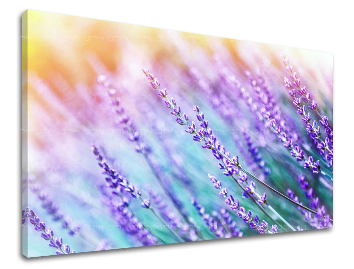 Ζωγραφική τοίχου ΛΟΥΛΟΥΔΙΑ KV064E11