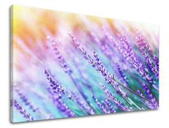 Ζωγραφική τοίχου ΛΟΥΛΟΥΔΙΑ KV064E11