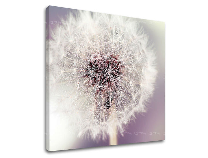 Ζωγραφική τοίχου FLOWERS KV065E12