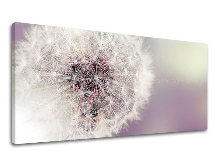 Ζωγραφική τοίχου PANORAMA FLOWERS KV065E13